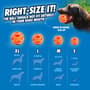 Thumbnail Image for 993783-4