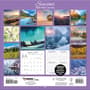 Thumbnail Image for 973971-4
