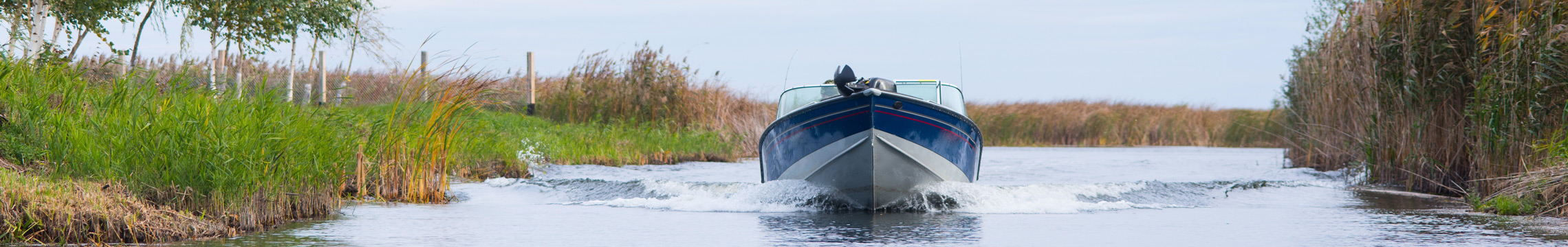 Blue and white boat steers straight toward the camera in a scenic waterway 