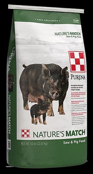 NexGen Swine Supplement - Kent