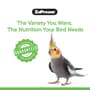 Thumbnail Image for 238128-3