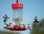 Thumbnail Image for 227648-4