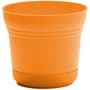 Thumbnail Image for 253084-1