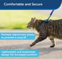 Thumbnail Image for 160742-5