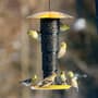 Thumbnail Image for 245124-2