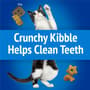 Thumbnail Image for 246979-6