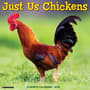 Thumbnail Image for 256100-1