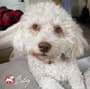 Thumbnail Image for 236180-2
