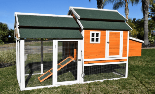 Rugged ranch outlet dog kennel