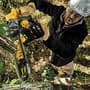 Thumbnail Image for 240845-2