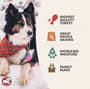 Thumbnail Image for 236179-7