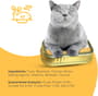 Thumbnail Image for 243461-6