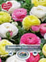 Thumbnail Image for 230969-1