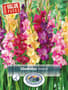Thumbnail Image for 230972-1
