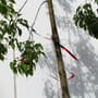 Thumbnail Image for 113082-3