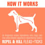 Thumbnail Image for 245739-5