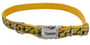 Thumbnail Image for 241215-1