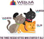 Thumbnail Image for 222978-5