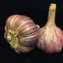 Thumbnail Image for 246203-1