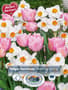Thumbnail Image for 223607-1