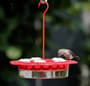 Thumbnail Image for 237494-1