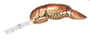 Thumbnail Image for 113236-1