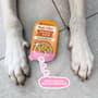 Thumbnail Image for 232029-5