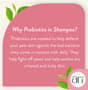 Thumbnail Image for 231747-4