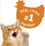Thumbnail Image for 226493-5
