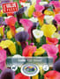 Thumbnail Image for 237822-1