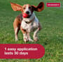 Thumbnail Image for 131843-3