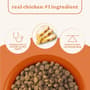 Thumbnail Image for 249364-7