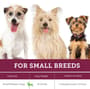 Thumbnail Image for 225269-5