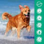 Thumbnail Image for 245360-2
