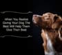Thumbnail Image for 217327-3