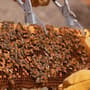 Thumbnail Image for 220067-2