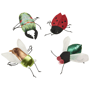 Thumbnail Image for 244702-1
