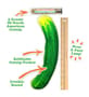 Thumbnail Image for 244882-4