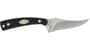Thumbnail Image for 257164-1