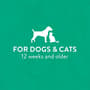 Thumbnail Image for 248273-4