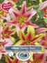 Thumbnail Image for 237827-1
