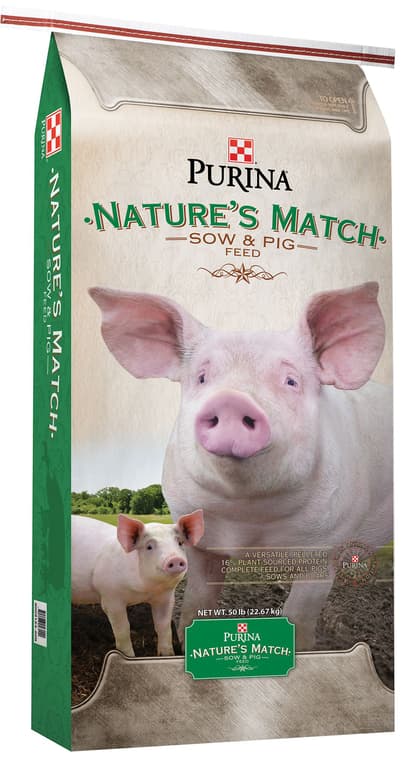 NexGen Swine Supplement - Kent