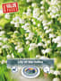Thumbnail Image for 230976-1