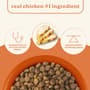Thumbnail Image for 249366-5