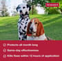 Thumbnail Image for 131846-5