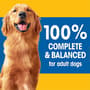 Thumbnail Image for 222909-3