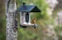 Thumbnail Image for 252498-3