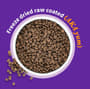 Thumbnail Image for 236838-4