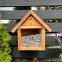 Thumbnail Image for 230426-1