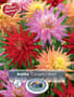 Thumbnail Image for 215197-1